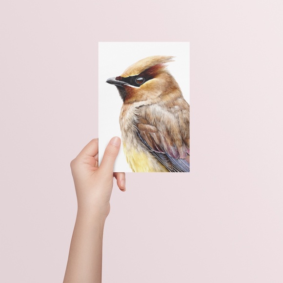 Watercolor Cedar Waxwing Bird Portrait Wall Art Print, Unframed - Vibrant Nature - Picture 5 of 7